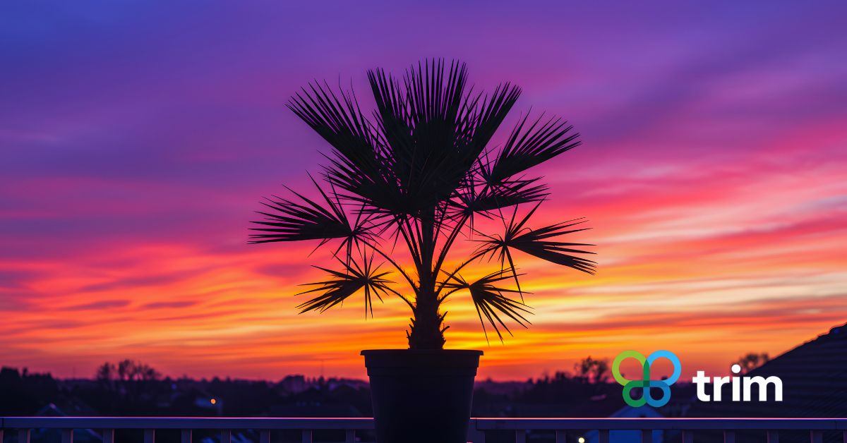 Discover sustainable, native desert landscaping ideas Phoenix homeowners trust for lasting beauty and water-wise outdoor living.