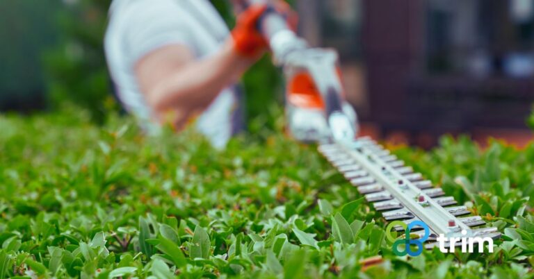 Landscaping Maintenance Packages Phoenix Homeowners Trust for Hassle-Free Seasonal Beauty