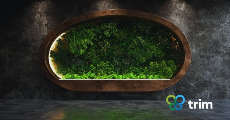 Vertical Gardens in Phoenix: Maximizing Greenery in Compact Spaces