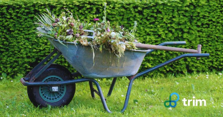 Weed Control Services Phoenix Homeowners Trust for Long-Term Results in a Tough Climate